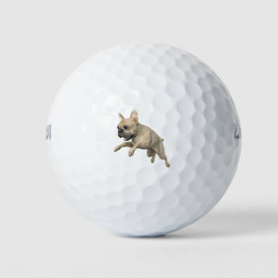 Balles De Golf Chien de taule français beige saute