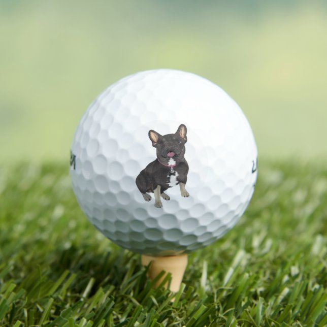Balles De Golf Chien de taule français de Black et Tan (T-shirt Insitu)