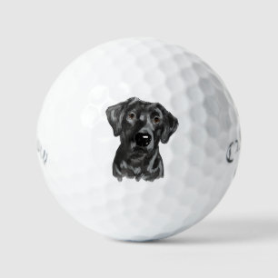Balles De Golf Chien du Black Lab