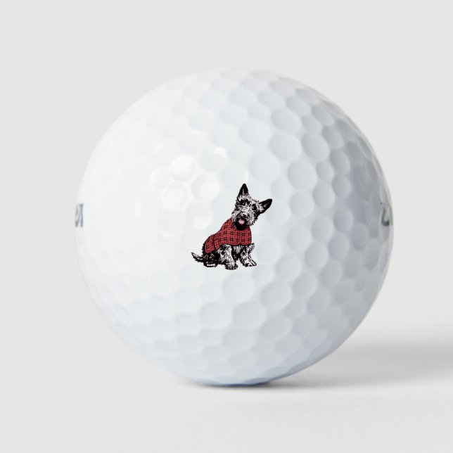Balles De Golf Chien écossais (Devant)