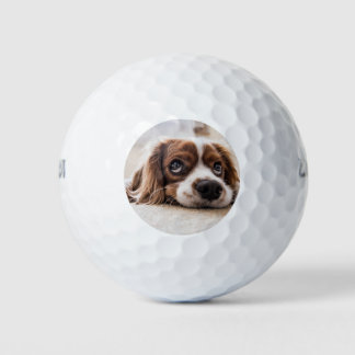 Balles De Golf Chien Espagnol Coqueur Triste