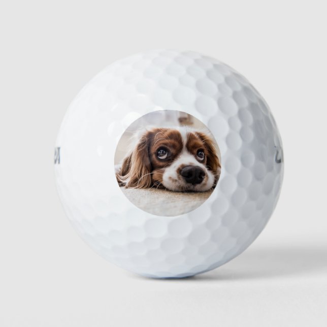 Balles De Golf Chien Espagnol Coqueur Triste (Devant)