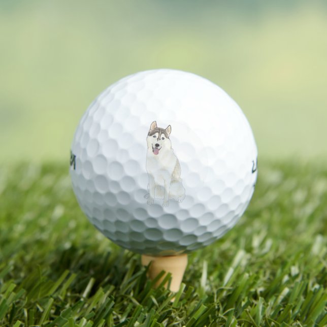 Balles De Golf Chien Husky (T-shirt Insitu)