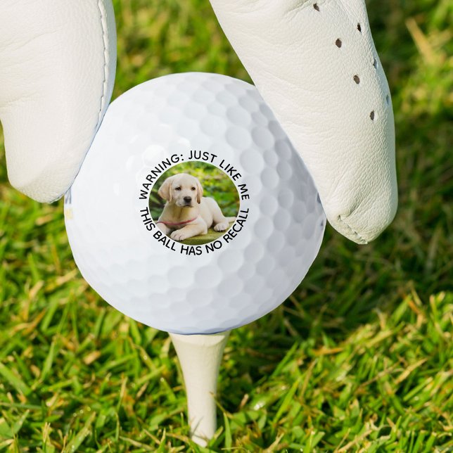 Balles De Golf Chien Papa Drôle Pas de rappel Avertissement Photo (Créateur téléchargé)