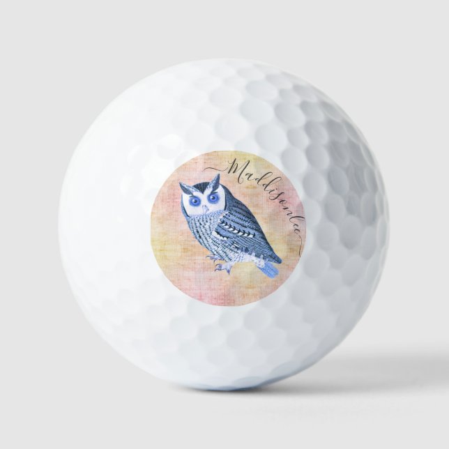 Balles De Golf Chouette bleu rustique Nom Monogramme Boules de go (Recto)