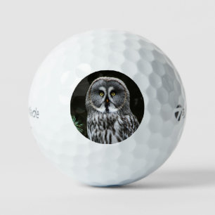 Balles De Golf Chouette grise tmtp5 gbcnm