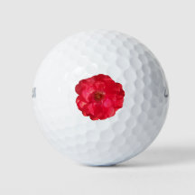 Closeuse d'un rose de couleur corail