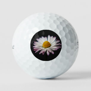Balles De Golf Commune Daisy tpv1 gbcnm
