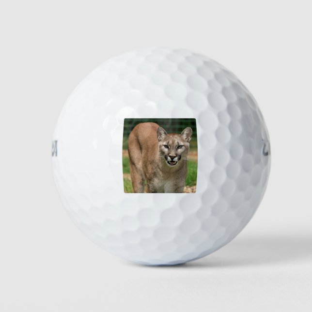 Balles De Golf Cougar (Devant)