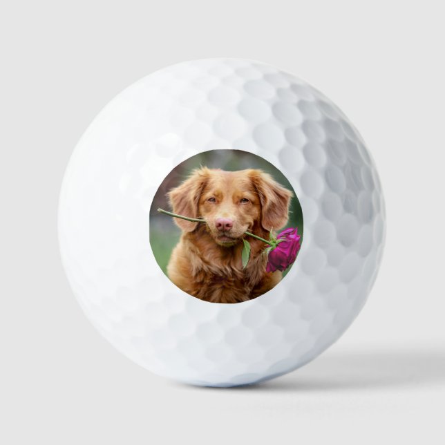 Balles De Golf Create your Own Photo (Recto)