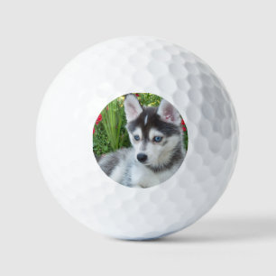 Balles De Golf Créez Votre Propre Photo de Animal de Compagnie Pe
