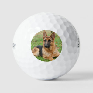 Balles De Golf Créez Votre Propre Photo de Animal de Compagnie Pe