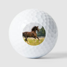 Créez votre propre photo de cheval de compagnie pe