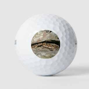 Balles De Golf Crotale à Shenandoah National Park