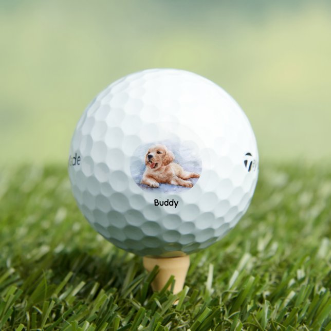 Balles De Golf Custom Dog Pet Photo Name (T-shirt Insitu)