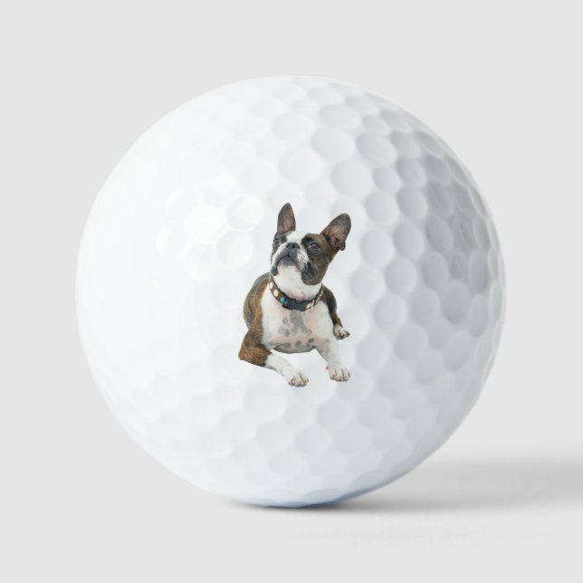 Balles De Golf Custom Pet Dog Photo Modern Personalized Golf Ball (Recto)