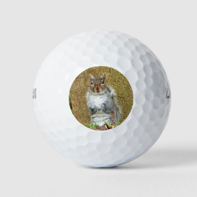 Balles De Golf Cute écureuil (Devant)