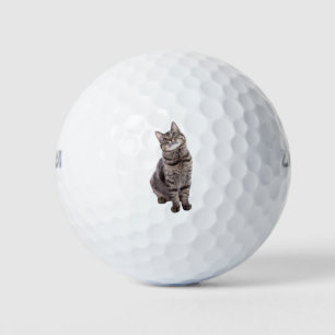 Balles De Golf Cute tabby Chat