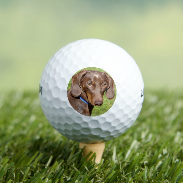 Balles De Golf Dachshund (T-shirt Insitu)