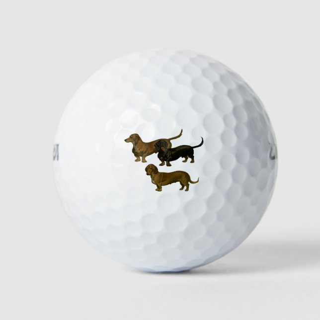 Balles De Golf Dachshunds (Devant)