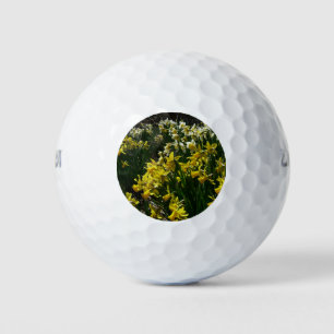 Balles De Golf Daffodiles jaunes et blancs Fleurs de printemps