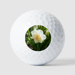 Balles De Golf De grands jonquilles blancs par un jour de printem