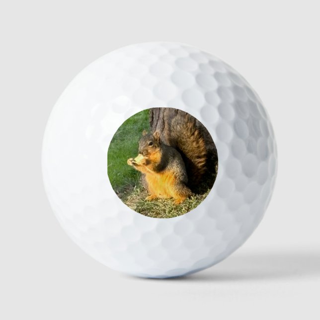 Balles De Golf Écureuil De Chubby, Ballons De Golf (Recto)
