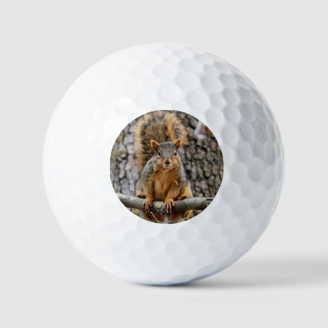 Balles De Golf Écureuil de renard (Recto)
