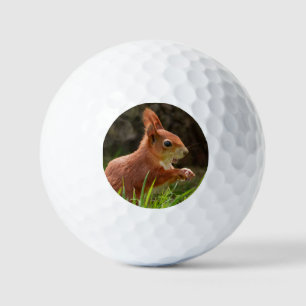 Balles De Golf Écureuil rouge joyeux