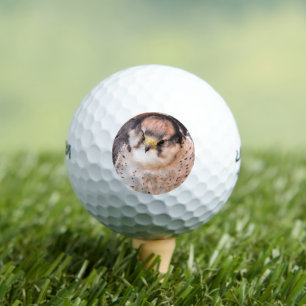 BALLES DE GOLF FALCON BIRD DE PREY