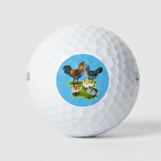 Balles De Golf Famille Ameraucana de poulet (Devant)