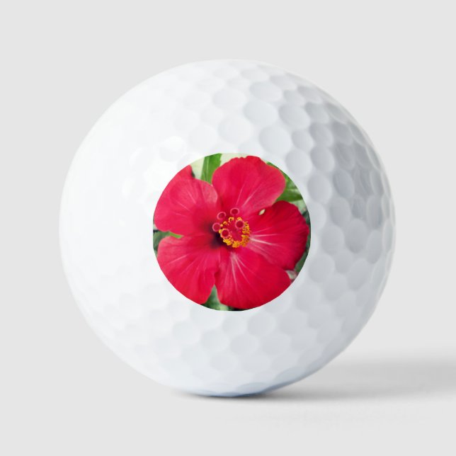 Balles De Golf Fleur rouge de Hibiscus Rosa-sinensis (Recto)