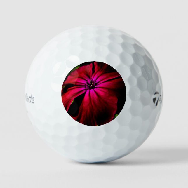 Balles De Golf Fleur sauvage violette tmtp5 gbcnm (Recto)