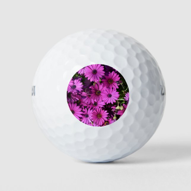 Balles De Golf Fleurs d'ostéospermum pourpres (Devant)