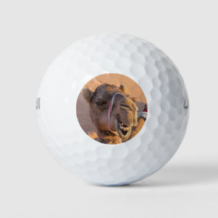 Balles De Golf Funny Camel Classic