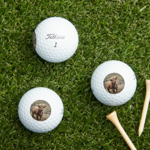 Balles De Golf **"Furry Majesty : The Woolly Brown Highland Cow"*