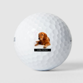 Balles De Golf Golden Retriever