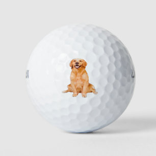 Balles De Golf Golden Retriever Sitting - Design adorable