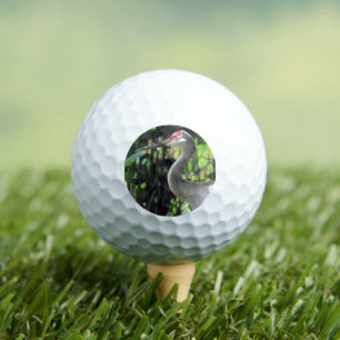 Balles De Golf Graine de Sandhill