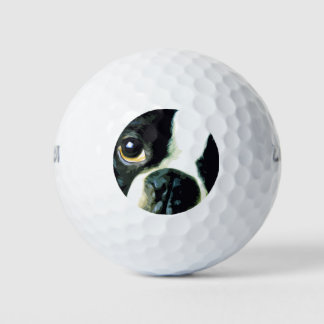 Balles De Golf grand Boston Terrier moderne