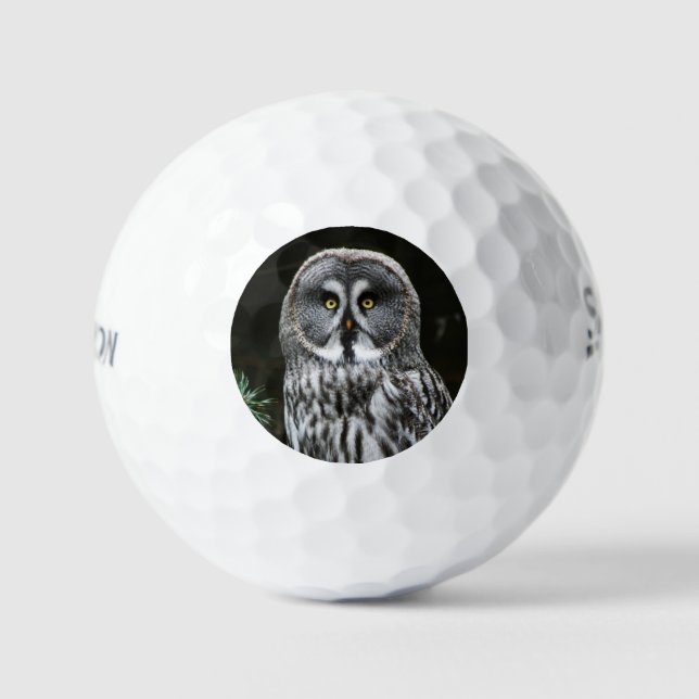 Balles De Golf Grande Chouette gris ssf gbcnm (Recto)