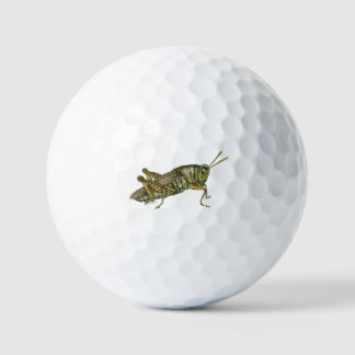 Balles De Golf Grasshopper vert