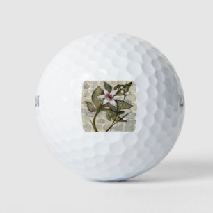 Balles De Golf HAZ26 Amazonie 4.tif