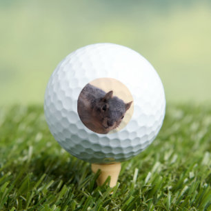 Balles De Golf Hé, là