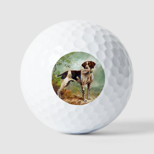 Balles De Golf Hunter dog with bird in mouth (Recto)