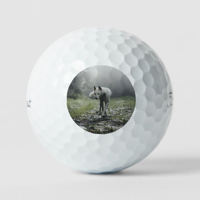 Balles De Golf Husky Sibérien Blanc (Recto)
