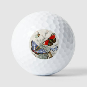 Balles De Golf Illustration botanique scientifique de papillon vi