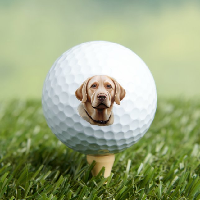 Balles De Golf Illustration classique du Labrador Retriever (T-shirt Insitu)