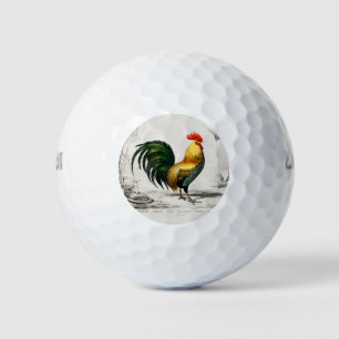 Balles De Golf Illustration de la coop de poulet du coq des année