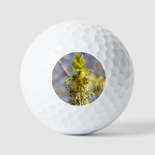 Balles De Golf Jolies feuilles en photo de printemps